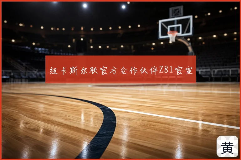 纽卡斯尔联官方合作伙伴Z81官宣
